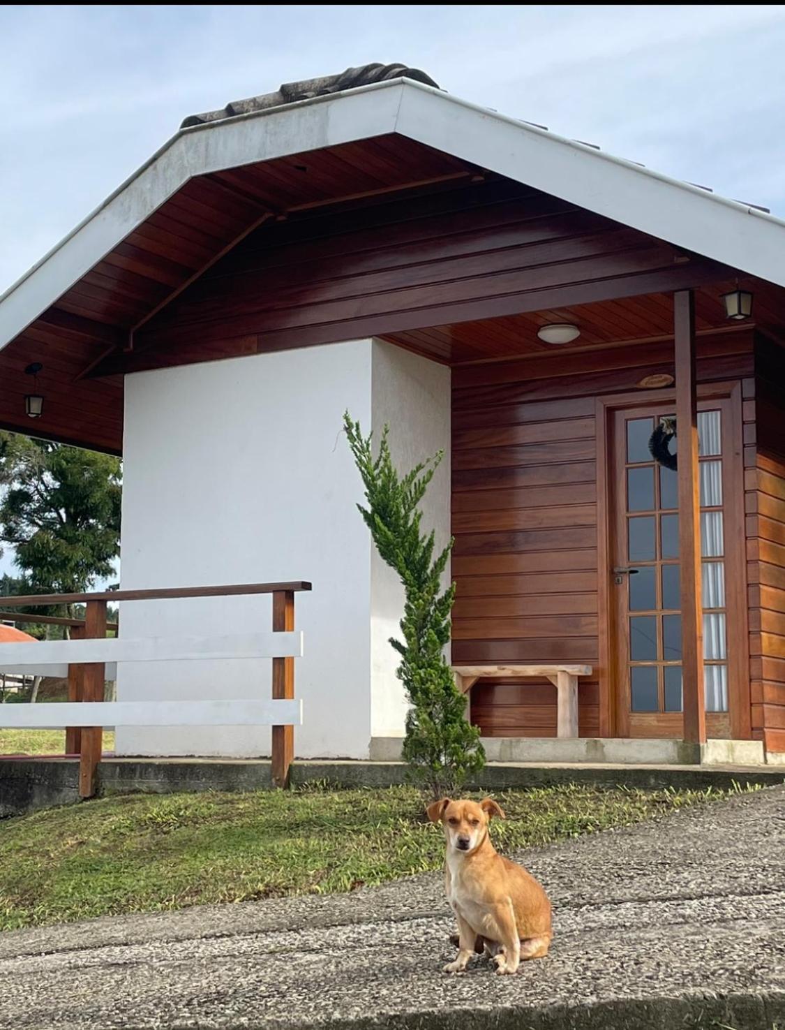Chale Amanhecer Hotel Santo Antônio do Pinhal Kültér fotó
