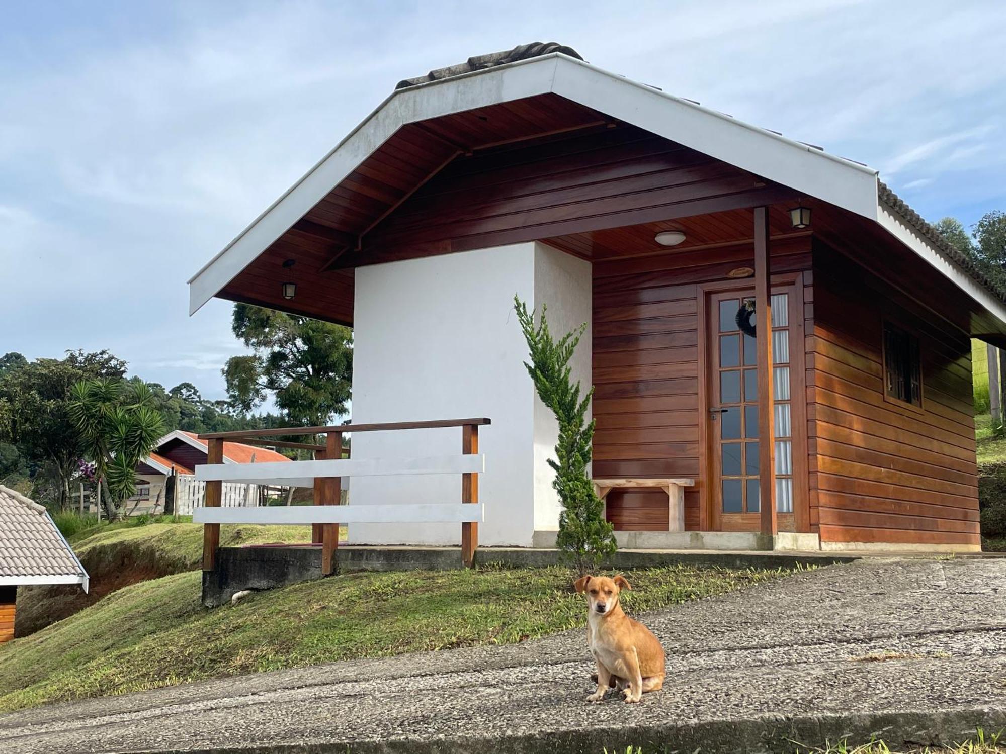 Chale Amanhecer Hotel Santo Antônio do Pinhal Kültér fotó